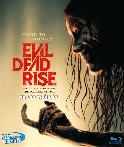 B5740.Evil Dead Rise 2023 - MA CÂY TRỖI DẬY  2D25G  (TRUE- HD 7.1 DOLBY ATMOS)